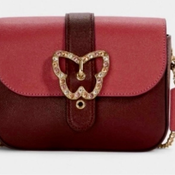 Limited Edition Authentic Coach Crossbody Bag. NWT. Beautiful Bag - Picture 5 of 6